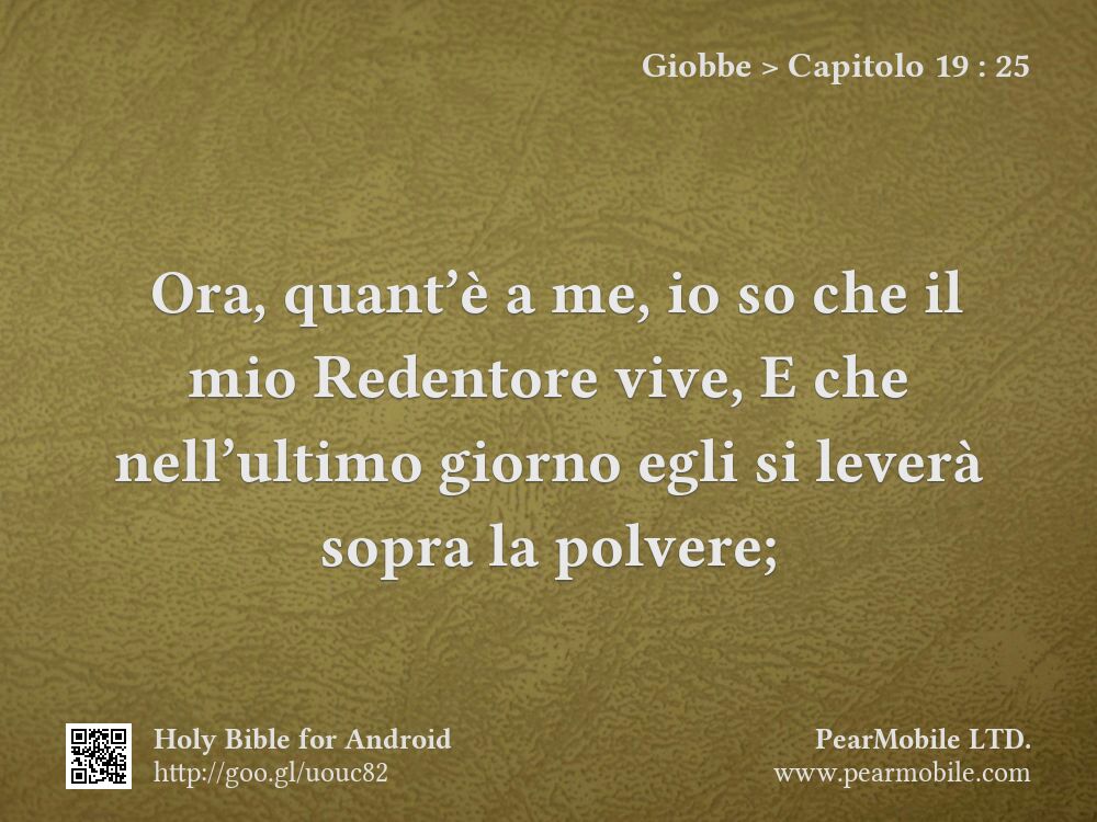 Giobbe, Capitolo 19:25